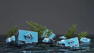 Helene insured damage too early to estimate