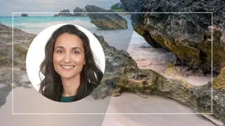 Markel strengthens D&O operations with MD Sandra Soares’ promotion