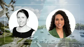 ABIR appoints Elizabeth Breeze as treasurer