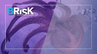 Insurance: From liability crisis to global hub